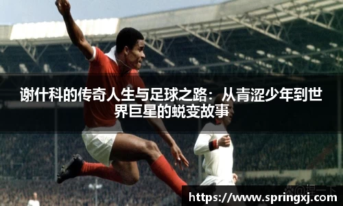 爱游戏ayx